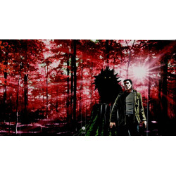 Bob Morane 288 / Les...