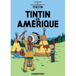 Tintin 3 - Tintin en...